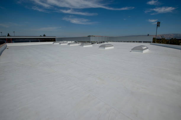Best Roof Ventilation Installation  in Apple Creek, OH