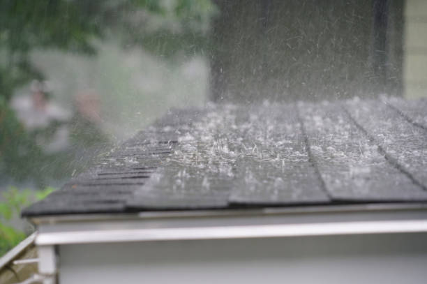 Best Asphalt Shingles Roofing  in Apple Creek, OH